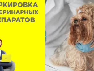 29 июня 2026 г. в 11:00 запланировано проведение обучающего семинара по маркировке ветеринарных препаратов и кормов для животных